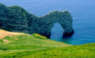 Dorset