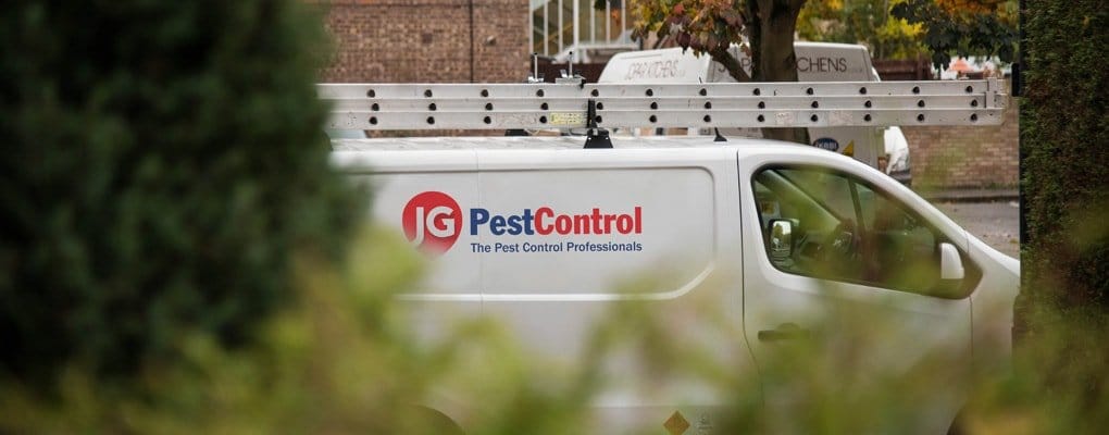 Dead Animal Removal - JG Pest Control