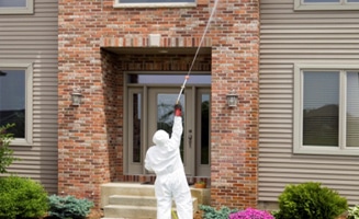 wasp nest removal