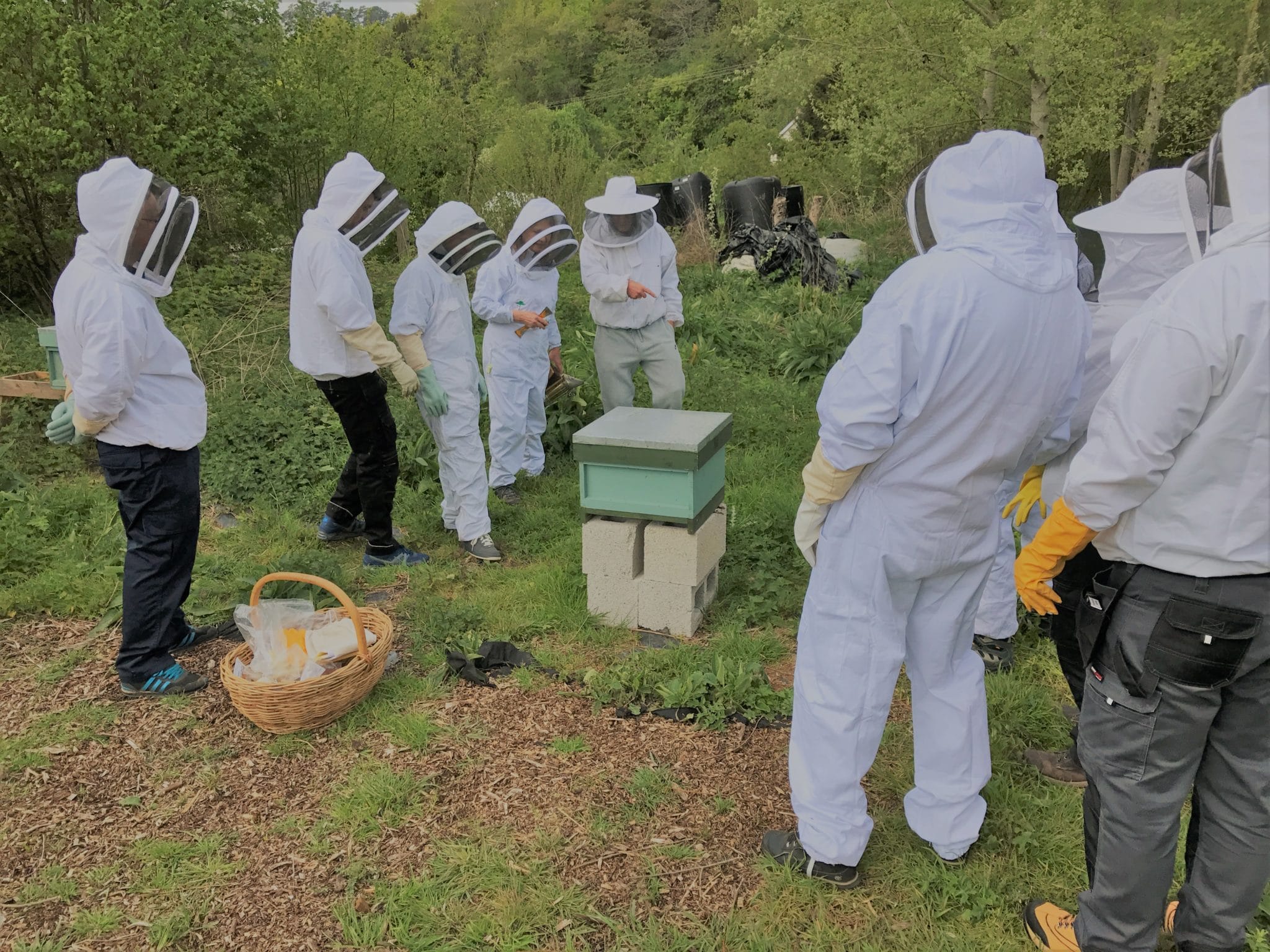 Bee Control team